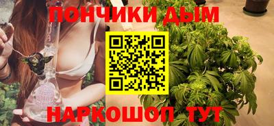 молекула духа Будённовск