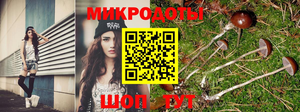 Галлюциногенные грибы MAGIC MUSHROOMS Мурманск